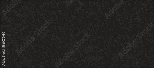 Topographic Map Pattern Abstract Geographical Featuring Elegant Elevation Contour Lines, Organic Terrain Textures, and Minimalist Relief Mapping for Modern Design.