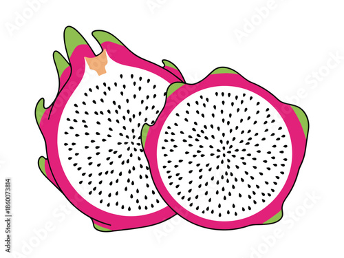 Vector Illustration of Pitaya Fruit