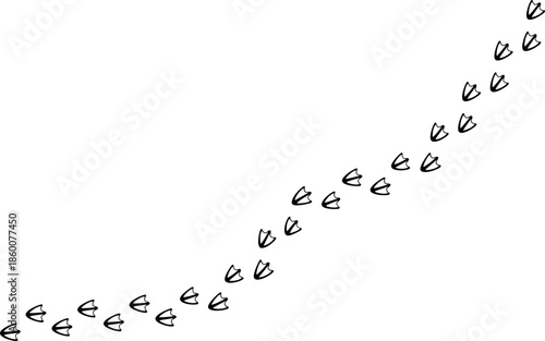 Seamless Duck Footprints Pattern, Black Webbed Bird Tracks Silhouette Background, duck, dove, bird webbed footprints