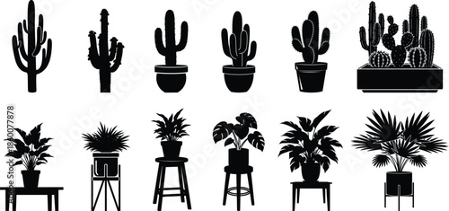 Collection of various cactus and tropical plant silhouettes