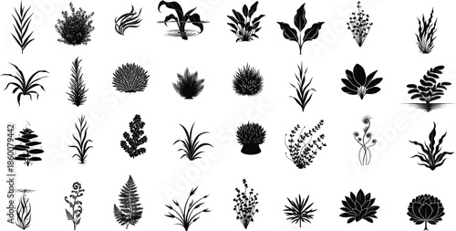 Collection of various plant species in black and white