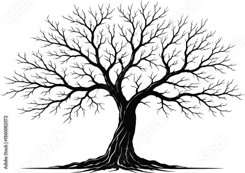 Solitary Tree Silhouette: An illustration of a solitary tree with bare branches. Its gnarled trunk and intricate network of limbs create a striking contrast against the background.