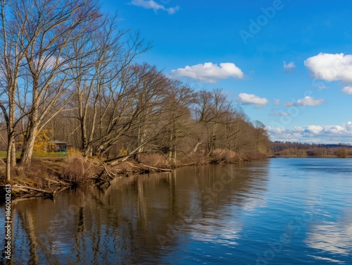 Calm riverbank under clear sky
