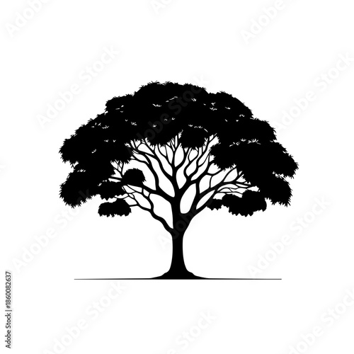 Mango Tree Vector Illustration with Healthy Tropical Foliage