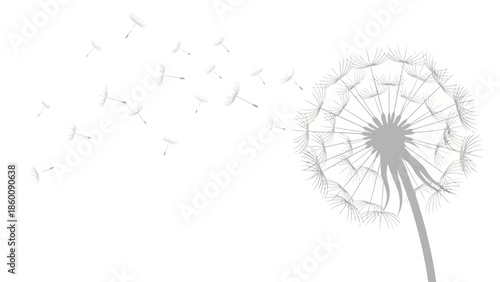 Dandelion seeds dispersing in the wind symbolizing freedom and nature