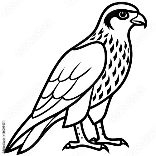 Hunting Falcon Vector Illustration