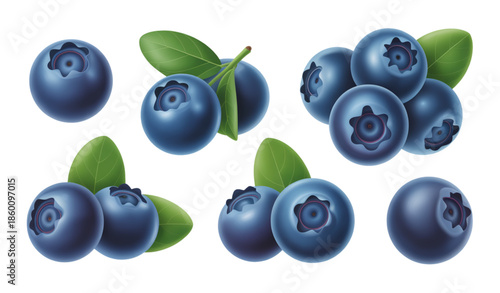 Flat blueberry fruit vector icon set isolated on white background