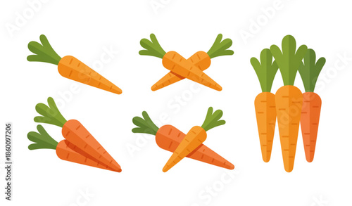 Fresh carrots realistic vector illustration set isolated on white background