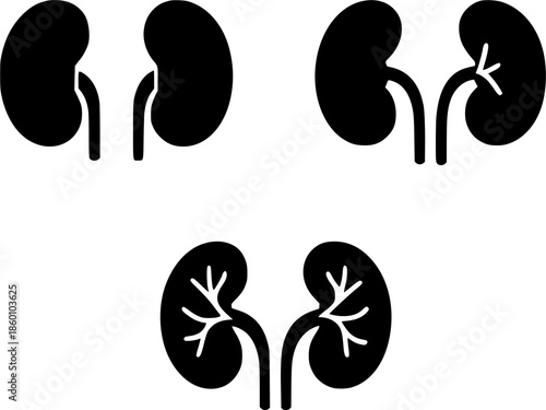Icon, 3 kidney illustrations, silhouette, transparent background
