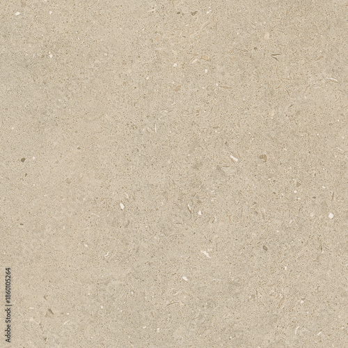 Subtle Light Beige Granular Stone Texture
