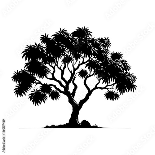 Mango Tree Vector Illustration with Healthy Tropical Foliage