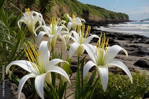 Wallpaper Mural Hymenocallis littoralis growing along shore Torontodigital.ca