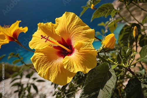 Wallpaper Mural Yellow hibiscus flower in Greece vibrant Torontodigital.ca