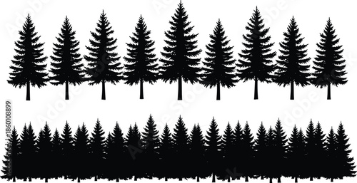 Set of individual pine tree silhouettes and continuous coniferous forest horizon line, evergreen nature collection, cad drawing flat vector illustration