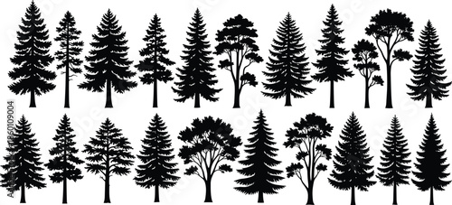 Set of pine and deciduous tree silhouettes, coniferous forest evergreen fir and spruce collection, isolated nature icons, cad drawing flat vector illustration