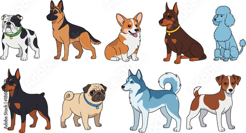 Cute dog breeds collection featuring German Shepherd Bulldog Corgi Poodle Husky Pug and Doberman for pet care animal shop and veterinary branding design.