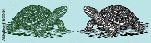 Two detailed linocut style turtles facing each other on a light blue background tortoise reptile