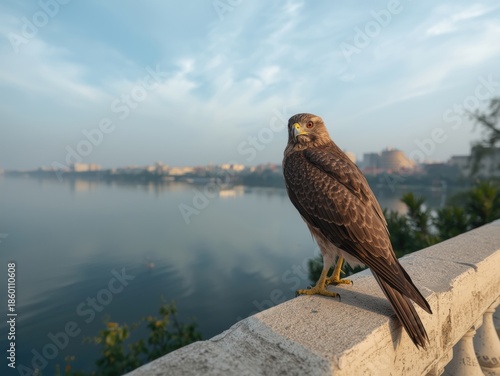 Bird perched by water