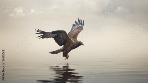 Eagle soaring over calm waters