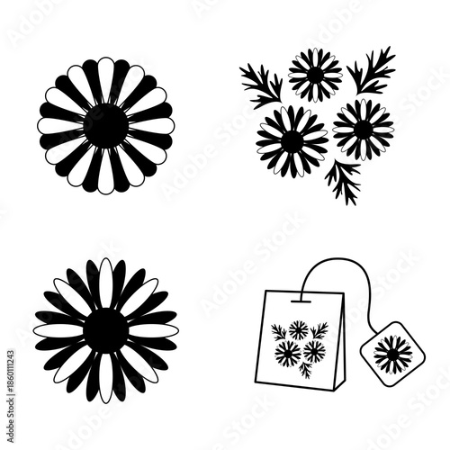 Creative daisy flower illustrations, perfect for designs