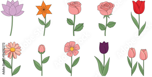 Elegant collection of long stemmed flowers including roses tulips lilies and daisies for floral arrangements wedding decorations spring gardens and botanical vector design.