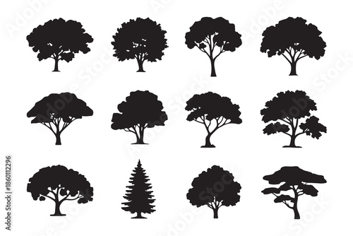 Collection of various tree silhouettes showing different species and canopy structures for architectural site plans