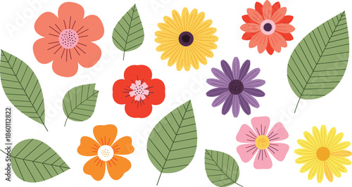 Colorful spring flowers and green leaves collection featuring daisies poppies and petals for romantic wedding invitations floral patterns and garden nature design.