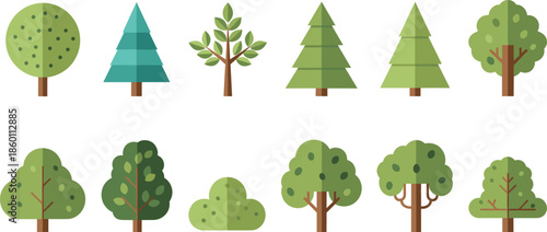 Green deciduous and coniferous forest trees collection featuring oak pine fir and garden bushes for flat style nature landscape and environment design