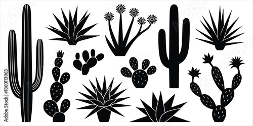 Collection of Black Silhouette Cacti and Succulents on White Background cactus desert