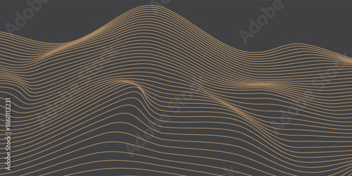 Vector abstract art landscape mountain with birds and sunrise with gold line art texture isolated on dark gray black background. eps10
