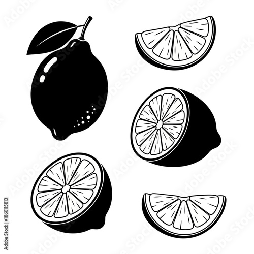 Refreshing Citrus Fruit Silhouettes A Black and White Lemon Vector Illustration Set