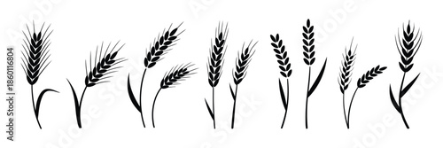 Wheat Icon with grey cereals icon set including rice, corn, oats, vector farm wheat ears, gluten free symbol, wheat logo, bakery icon, spike wheat, and bread grain illustration.