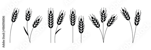 Wheat Icon with grey cereals icon set including rice, corn, oats, vector farm wheat ears, gluten free symbol, wheat logo, bakery icon, spike wheat, and bread grain illustration.
