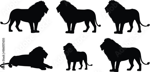 Six Black Silhouettes of Lions in Various Poses on White Background animal wildlife