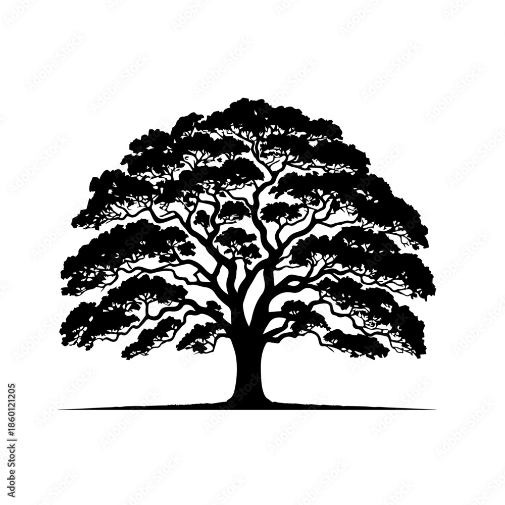 Fototapeta premium Oak Tree Vector Illustration