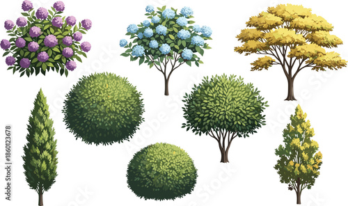 Collection of Flowering Hydrangea Bushes and Green Topiary Shrub Vectors with Various Garden Plant Shapes Isolated on White for Landscape Design
