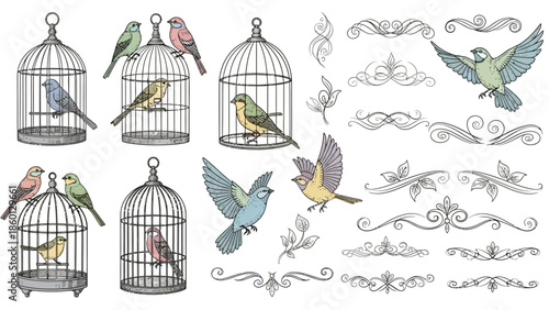 Vintage birds, birdcages, and ornate line art vector collection.

