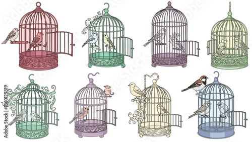 Birdcages: Freedom and Confinement.

