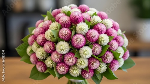Beautiful bouquet of pink and white globe amaranth flowers gomphrena globosa