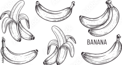 Black and line of peeled and whole bananas fruit tropical