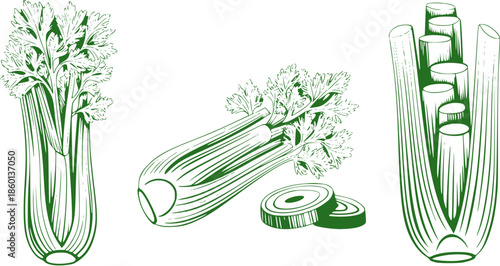 Green celery stalks with leaves and sliced pieces in clean