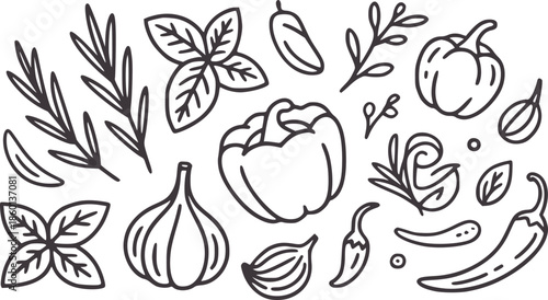 Hand drawn black and line vegetables and herbs