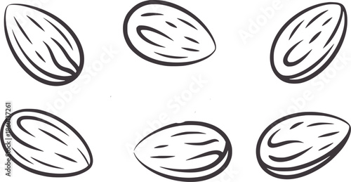 Six black and almonds in outline style