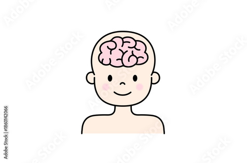 脳のイラスト