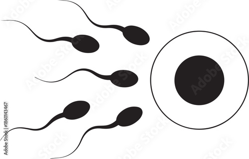 Sperm cells approaching an egg for fertilization process illustration
