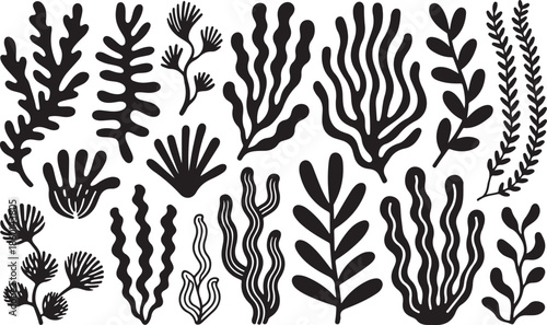 Collection of various black seaweed and coral illustrations isolated