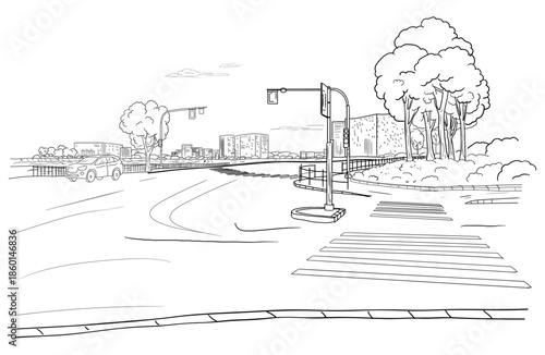 Pedestrian crossing in the city, black and white sketch. Vector illustration. Traffic lights and road signs, silhouette of multi-story buildings. City landscape and park isolated on white background.