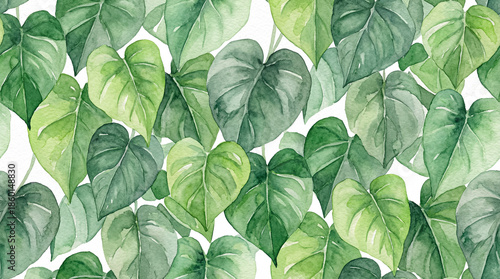 Hand-painted watercolor tropical leaves illustration, lush green heart-shaped leaves, overlapping foliage, botanical watercolor style