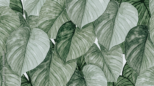 Hand-painted watercolor tropical leaves illustration, lush green heart-shaped leaves, overlapping foliage, botanical watercolor style