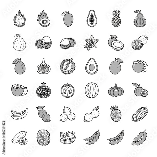Collection of Hand-Drawn Tropical Exotic Fruits and Vegetables Icons Set Vector Illustration Art